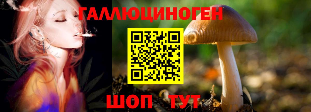 Псилоцибиновые грибы Magic Shrooms Дальнереченск